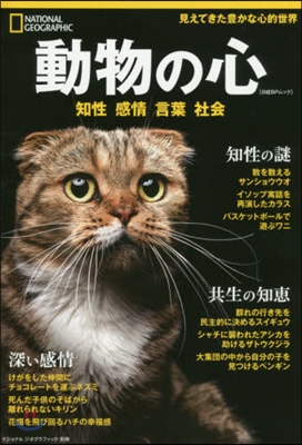 動物の心 知性 感情 言葉 社會