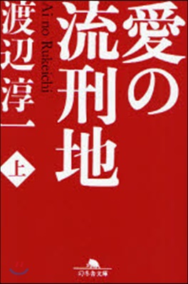 愛の流刑地 上