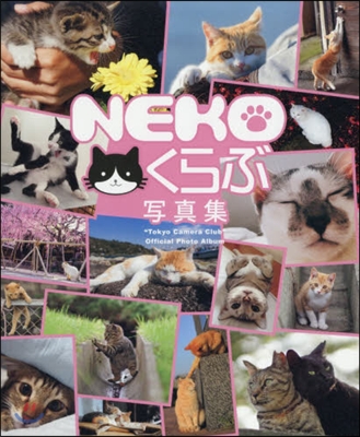 NEKOくらぶ寫眞集