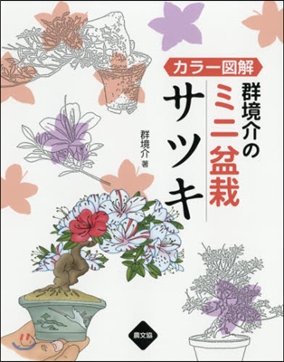 カラ-圖解 群境介のミニ盆栽 サツキ