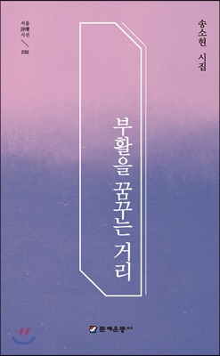 부활을 꿈꾸는 거리