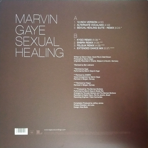 Marvin Gaye (마빈 게이) - Sexual Healing: The Remixes [레드 마블 컬러 LP]