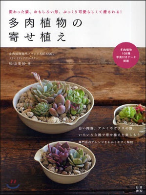 多肉植物の寄せ植え 變わった姿,おもしろい形,ぷっくり可愛らしくて癒される!