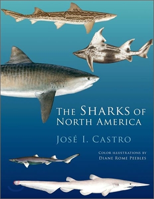 The Sharks of North America