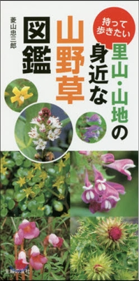 持って步きたい里山.山地の身近な山野草圖