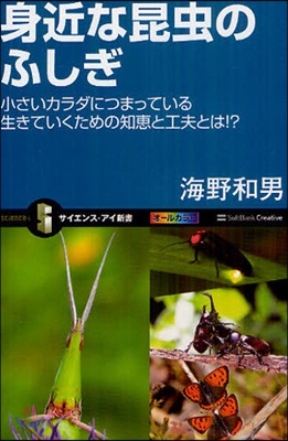 身近な昆蟲のふしぎ 小さいカラダにつまっている生きていくための知惠と工夫とは!?