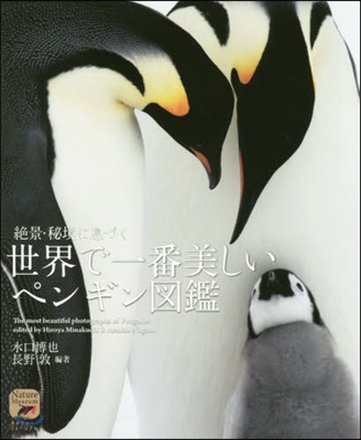 世界で一番美しいペンギン圖鑑