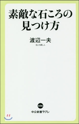 素敵な石ころの見つけ方