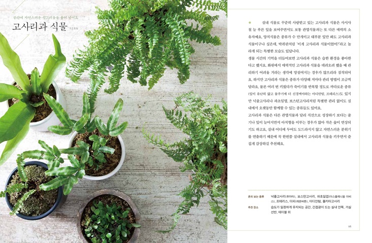 상세 이미지 3
