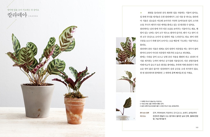 상세 이미지 4