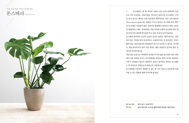 상세 이미지 5