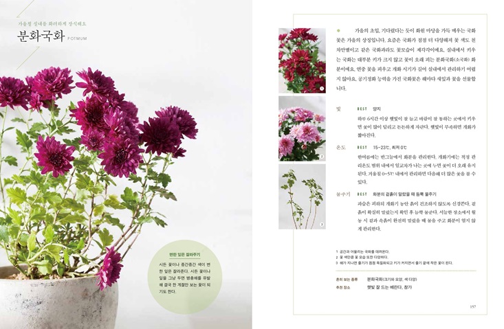 상세 이미지 7