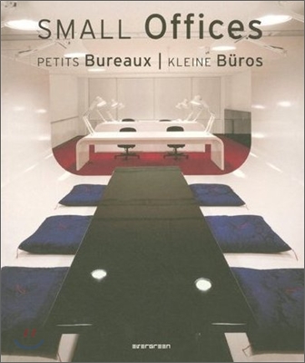 Small Offices (Paperback)