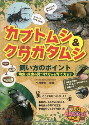 カブトムシ&amp;クワガタムシ飼い方のポイント