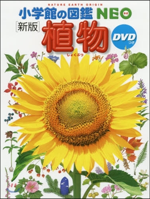 植物 新版 DVDつき