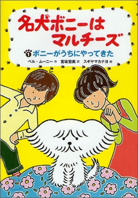 名犬ボニ-はマルチ-ズ(1)ボニ-がうちにやってきた