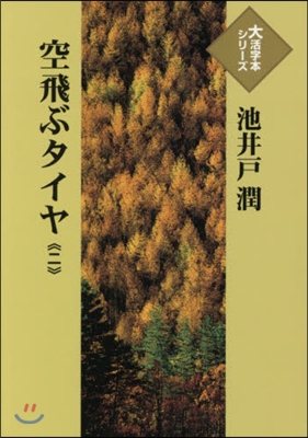 空飛ぶタイヤ(2)