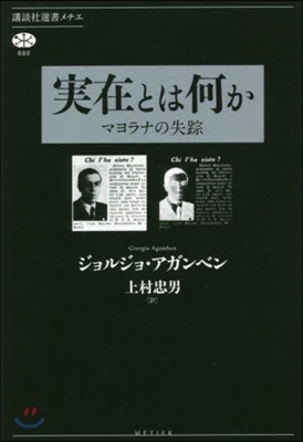 實在とは何か 