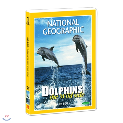 [내셔널지오그래픽] 야생 돌고래 (Dolphins : The wild side DVD)