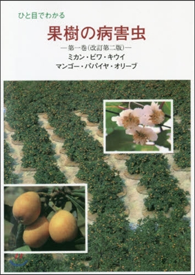 ひと目でわかる果樹の病害蟲   1 改2 改訂第2版