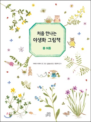 처음 만나는 야생화 그림책 : 봄 여름 (양장)