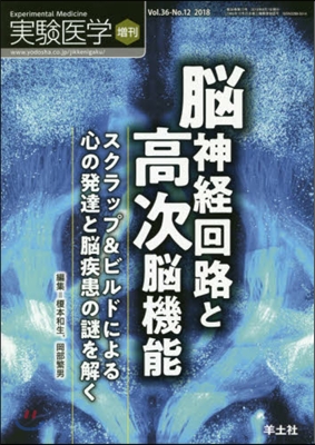 腦神經回路と高次腦機能 スクラップ&ビル