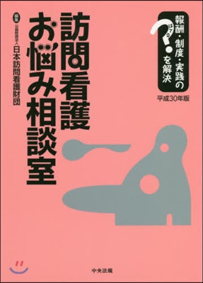 平30 訪問看護お惱み相談室