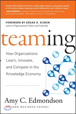 Teaming: How Organizations Learn, Innovate, and Compete in the Knowledge Economy