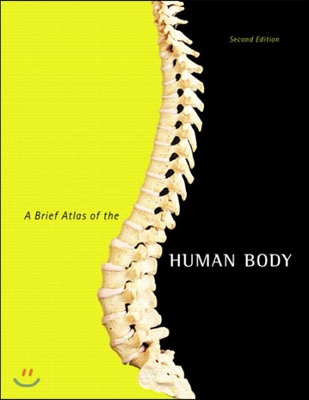 A Brief Atlas of the Human Body