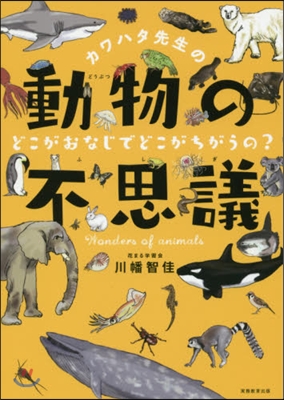 カワハタ先生の動物の不思議