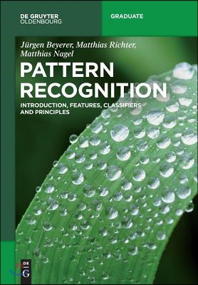 Pattern Recognition: Introduction, Features, Classifiers and Principles