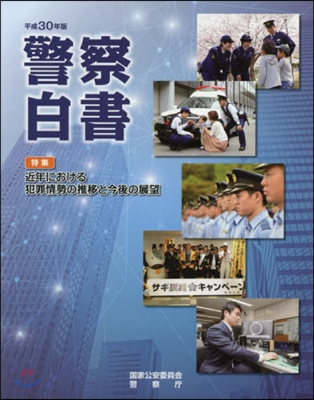 平30 警察白書