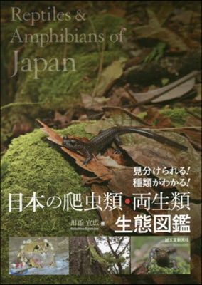 日本の爬蟲類.兩生類生態圖鑑