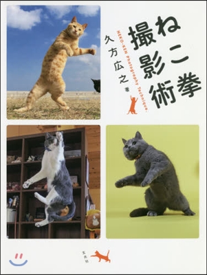 ねこ拳撮影術