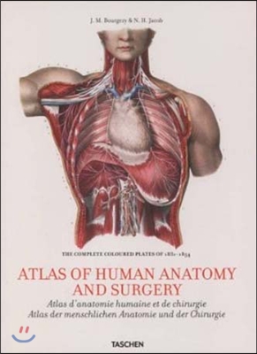 Bourgery: Atlas of Anatomy and Surgery, 2 Vol. (Hardcover)