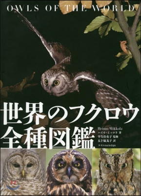 世界のフクロウ全種圖鑑