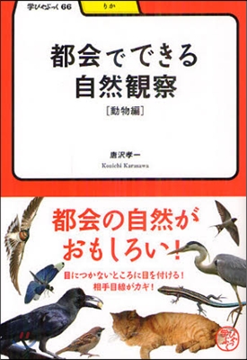 都會でできる自然觀察 動物編