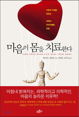 마음이 몸을 치료한다 -  데이비드 해밀턴 지음/장현갑 김미옥옮김 - 불광출판사