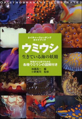 ウミウシ 生きている海の妖精 特?がひと目でわかる各種ウミウシの圖解付き