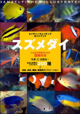 スズメダイ ひと目で特?がわかる圖解付き スズメダイ200種+幼魚,成魚,雌雄,婚姻色のバリエ-ション