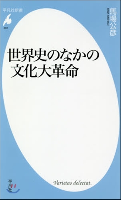 世界史のなかの文化大革命