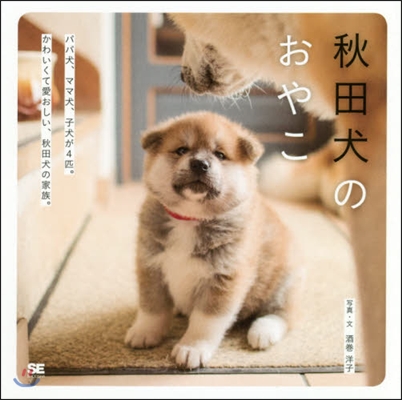 秋田犬のおやこ