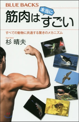 筋肉は本當にすごい