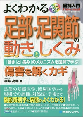 よくわかる足部.足關節の動きとしくみ