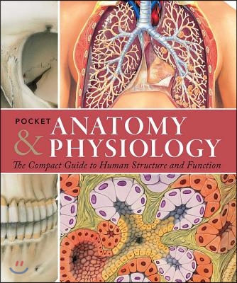 Pocket Anatomy &amp; Physiology: The Compact Guide to the Human Body and How It Works