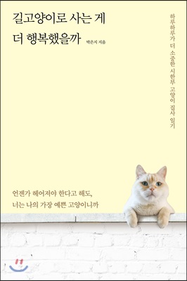 길고양이로 사는 게 더 행복했을까