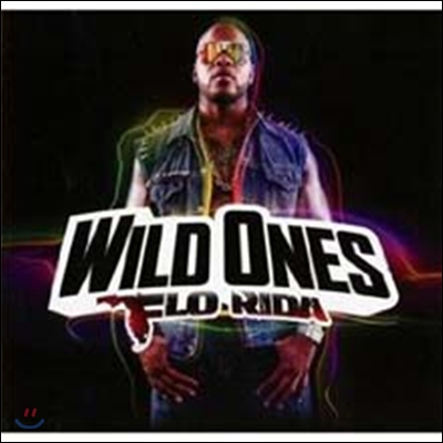 Flo Rida - Wild Ones   