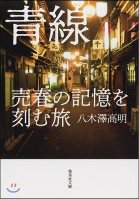 靑線 賣春の記憶を刻む旅