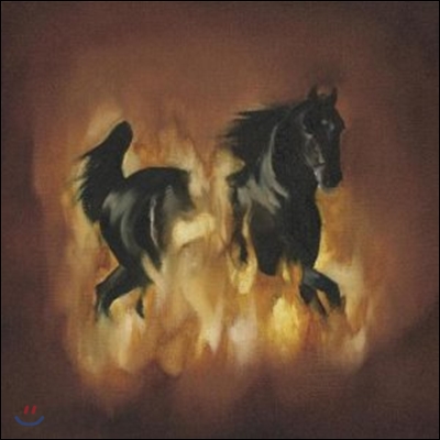 The Besnard Lakes (베스나드 레이크스) - The Besnard Lakes Are The Dark Horse [LP]