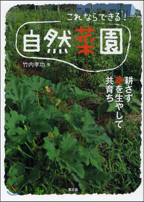 これならできる!自然菜園